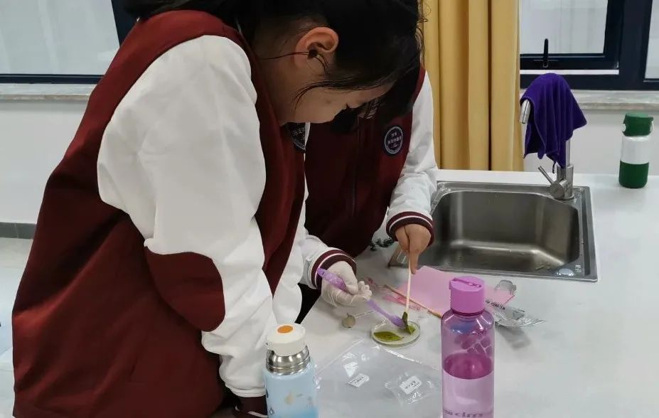 京郊这所学校，真真了不得