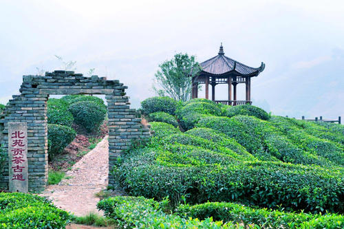 福建各地的特产，你知道的有多少呢？