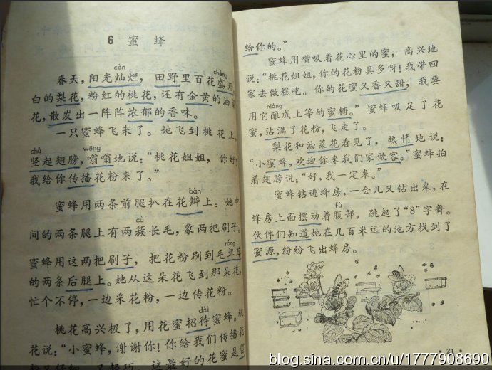 80后一代人的求学记忆：1987-1988年人教版五年制小学语文全集