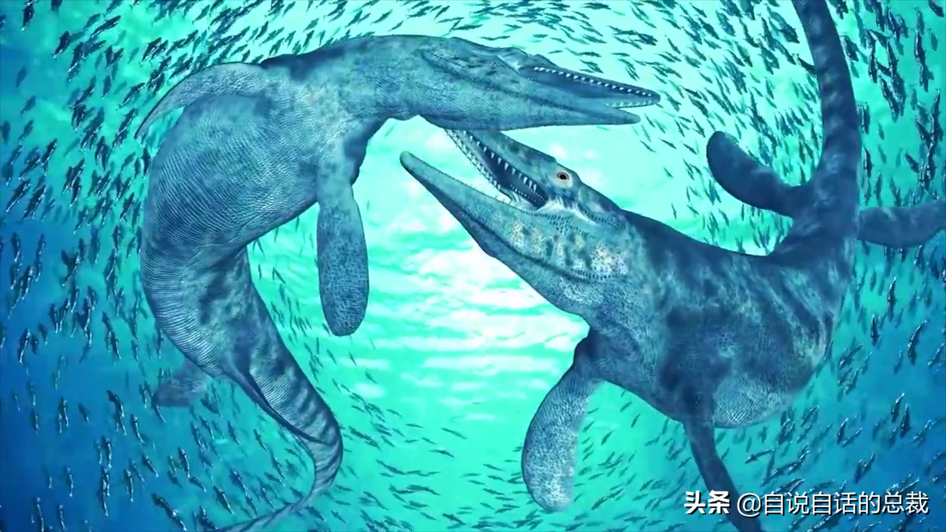 5种比巨齿鲨还恐怖的海怪，背后隐藏着一个人类起源的故事