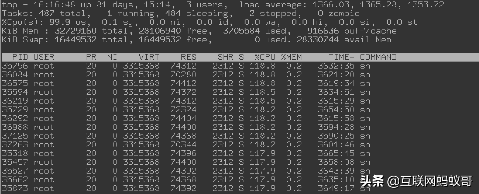 Linux服务器中招挖矿矿机程序导致系统CPU资源耗尽的排查过程