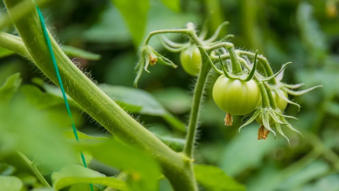 青春不散场，未来皆可期！高考毕业旅行季，我在蓬莱等你！