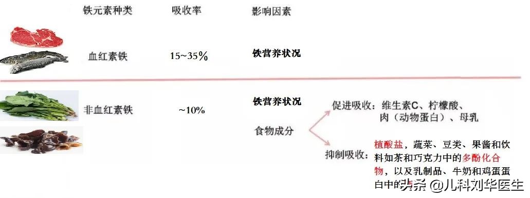 儿童铁缺乏，缺铁性贫血该如何预防和治疗