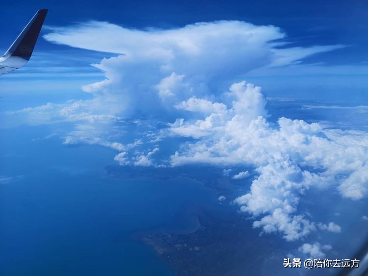 西沙珊瑚如梦幻织锦，五彩斑斓摇曳海底，宛若大自然最精致的瑰丽诗篇。