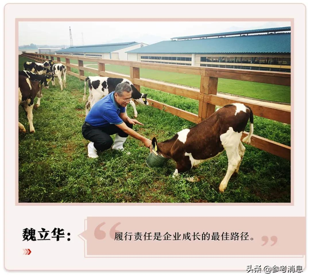 从默默无闻到国货之光:一个中国乳业品牌的向上之路
