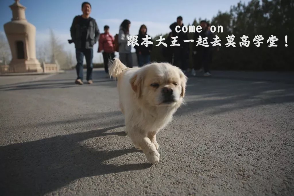 莫高学堂·乐乐茶咖馥园｜流淌在千年莫高的氤氲咖啡香
