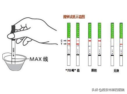 试纸怎么用（#健康中国行动2030）