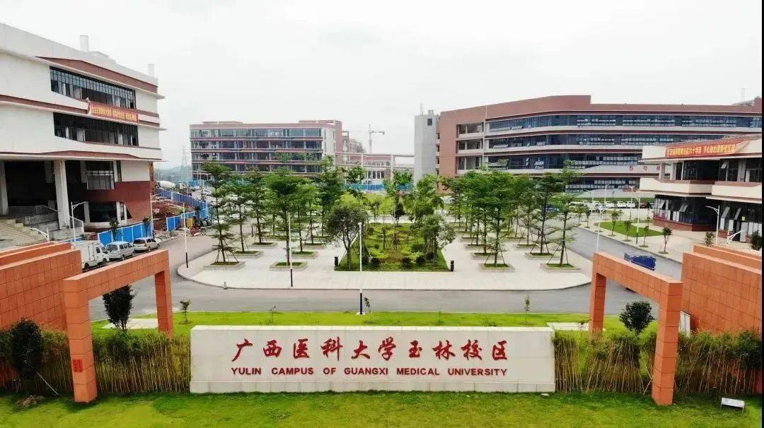 盘点院校前身之广西医科大学