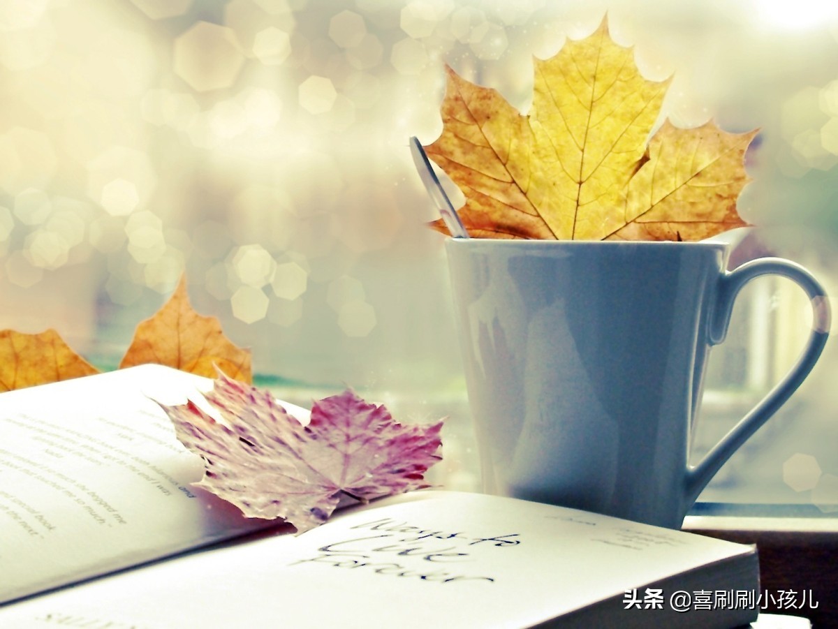 那些年，校园生活的回忆