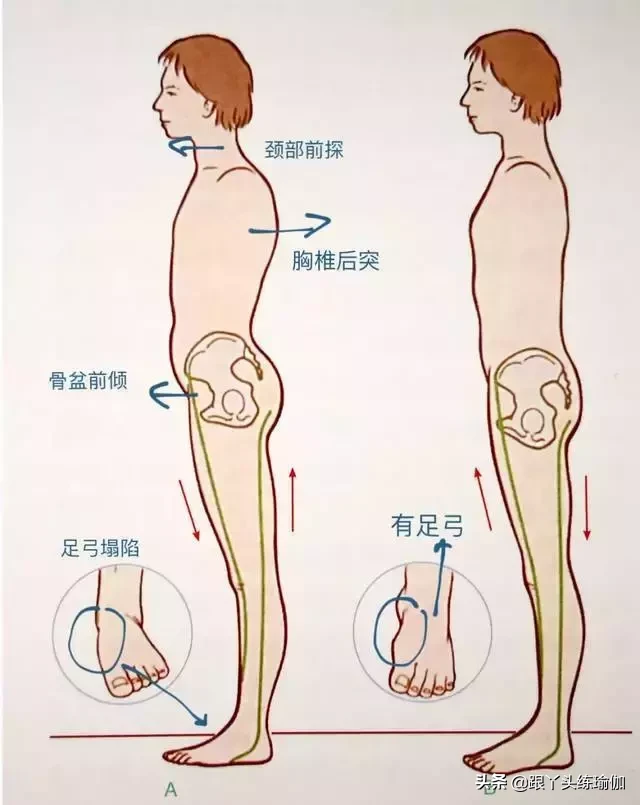 瑜伽足部练习(足弓到底有多重要？7式瑜伽给你的足底做个“SPA