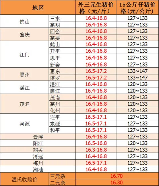猪天下网今日广东猪价(猪价格今日猪价格广东走势)