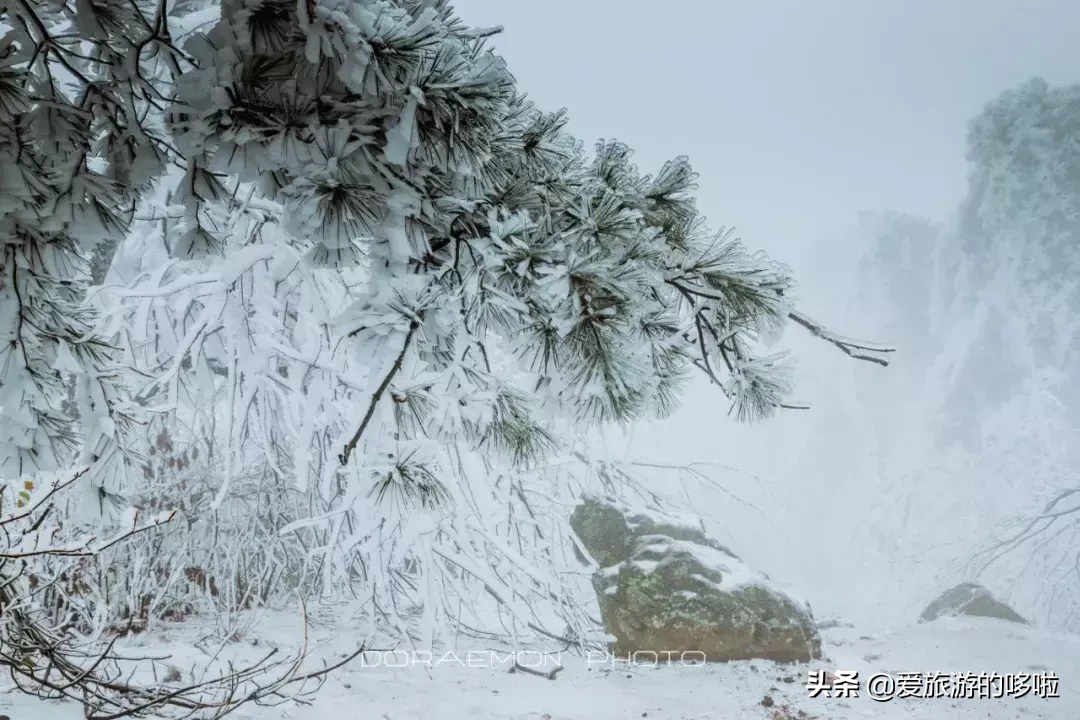 《知否知否应是绿肥红瘦》取景地曝光！低调千年的古城藏不住了