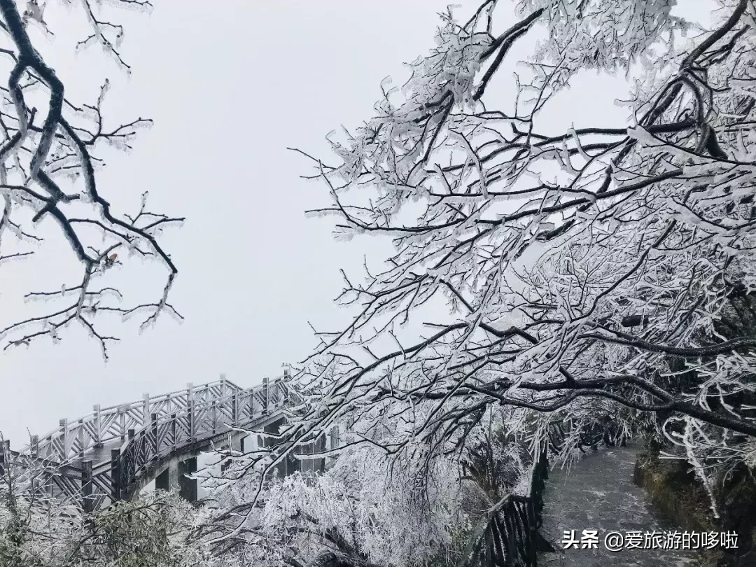 超全攻略！你不可错过的天门山，这个冬天霸屏朋友圈！