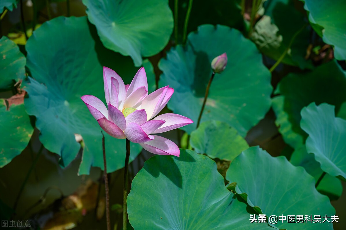 前列腺炎的最佳疗法(前列腺炎究竟怎么调理才能好？)