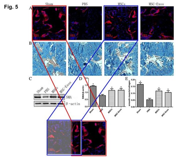 中山大学附属第三医院发表的SCI论文被质疑