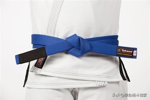 巴西柔术的段位系统白带和蓝带和紫带和棕带和黑带