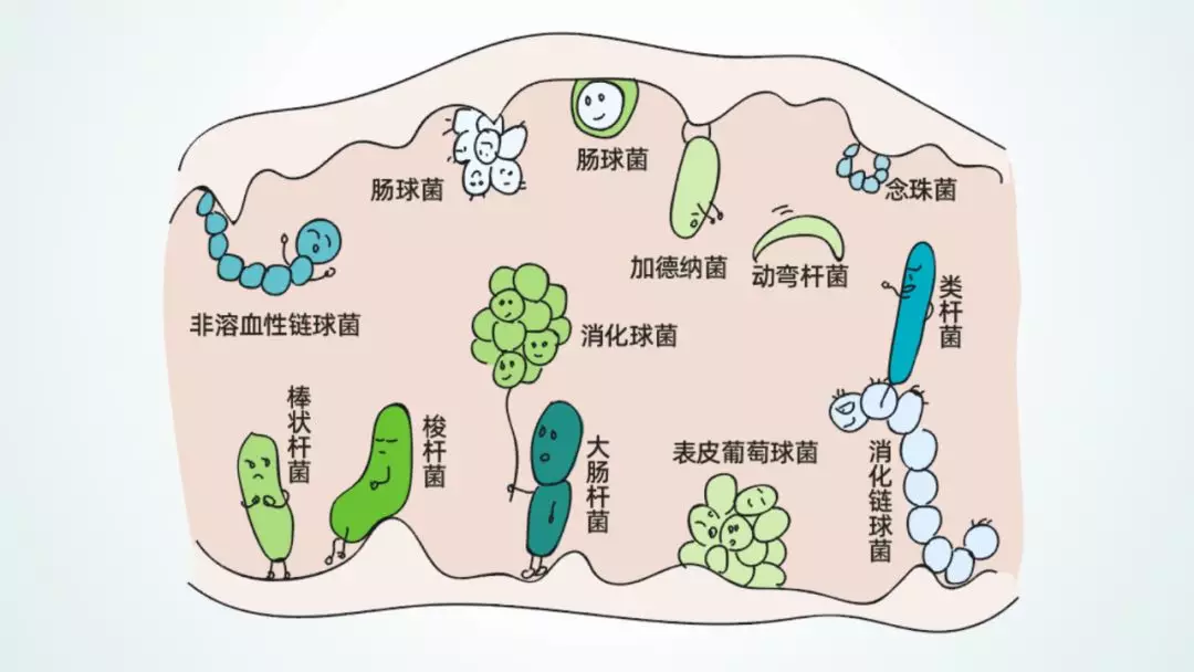 与关爱有关的句子（关爱女性健康）