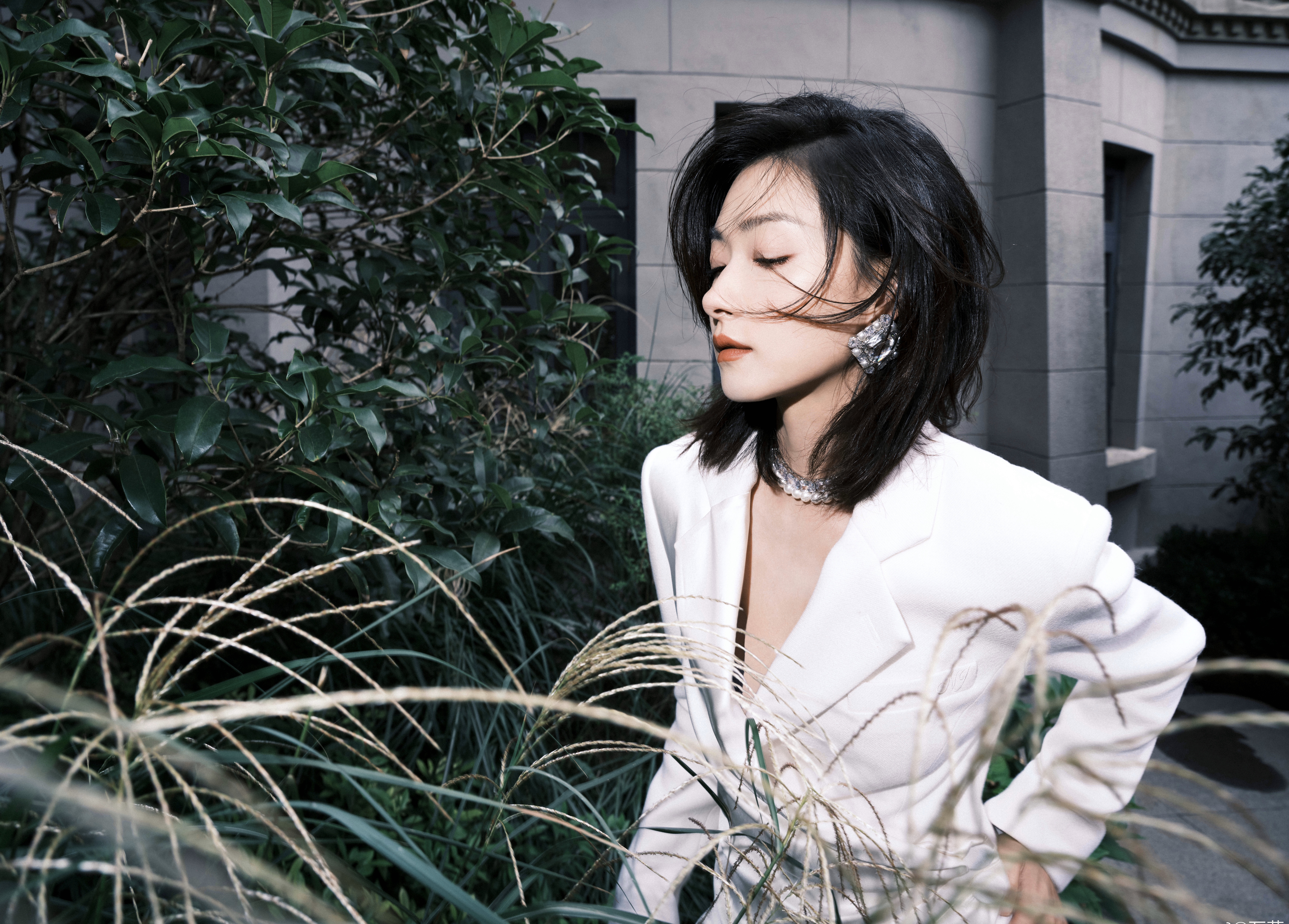 明星美女图片大全图片(6位) - 赤虎壹号