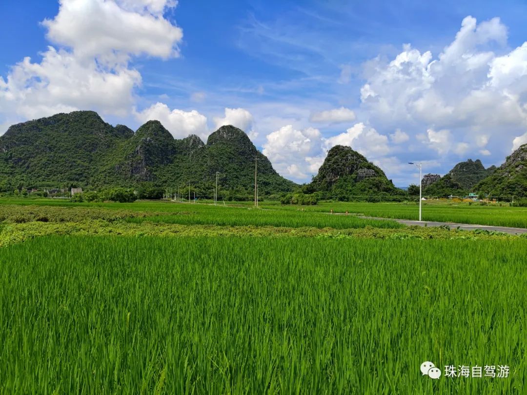 陽春景點(水墨陽春,山水畫廊)