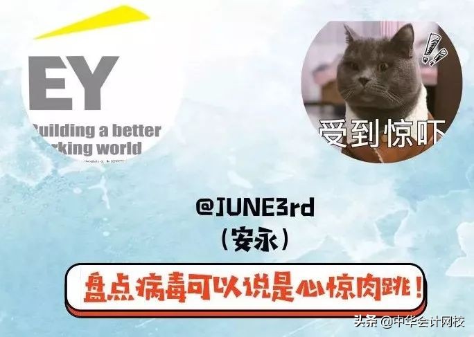 德勤审计现场简直太太太太太太太秀了！