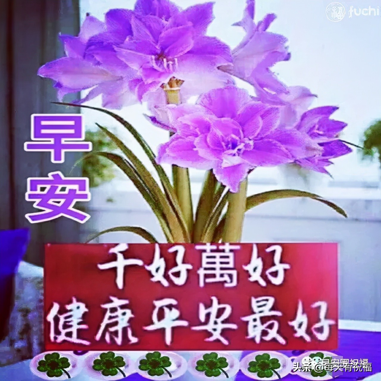 早上好的问候美句早上好的问候美句短句图片