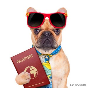 出国留学办理签证最新途径
