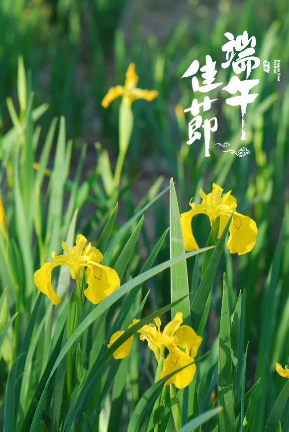 「诗词鉴赏」十五首端午的古诗词，写尽端午的习俗与万般思绪