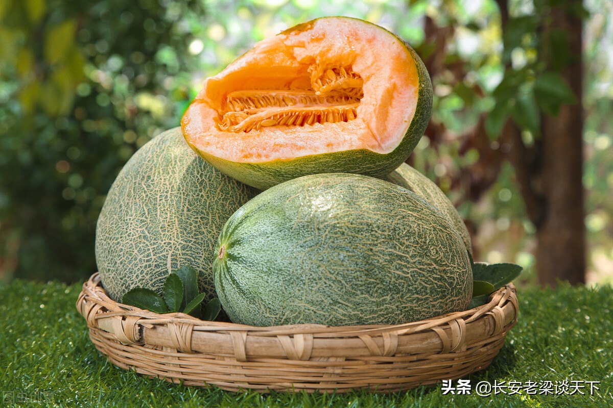 新疆景区景点大全