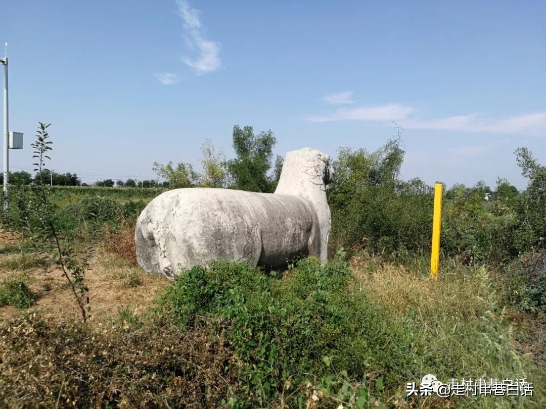 李世民出身显赫，他曾祖父李虎，西魏八大柱国之一，三原永康陵