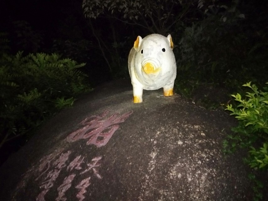 珠海的美毋庸置疑！吉大的由来，你信哪一个