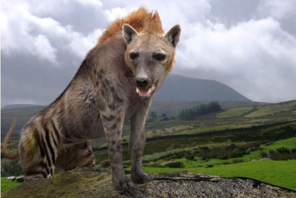 山西钩吾山出现的狍鸮,身子像羊,一张大嘴巴,学者推测是巨鬣狗