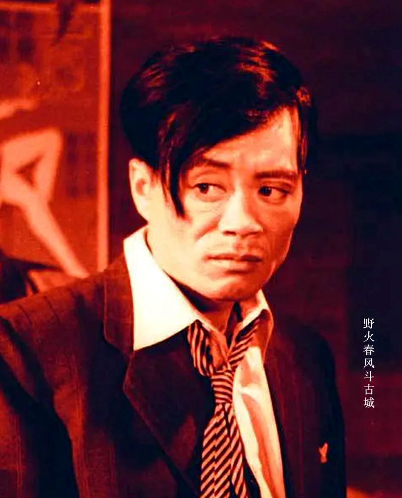 电视剧十天十夜演员表(擅长演反派,《野火春风斗古城