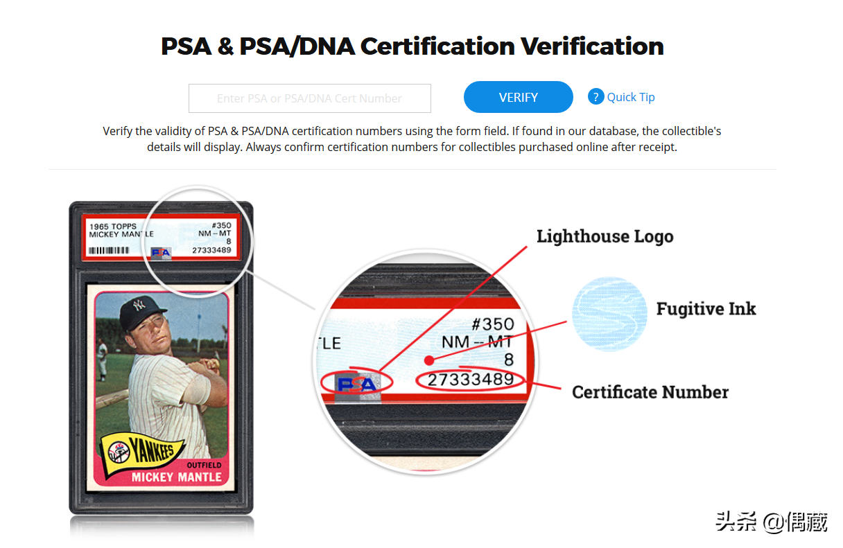 「偶藏精选」签名认证机构简介：PSA/DNA