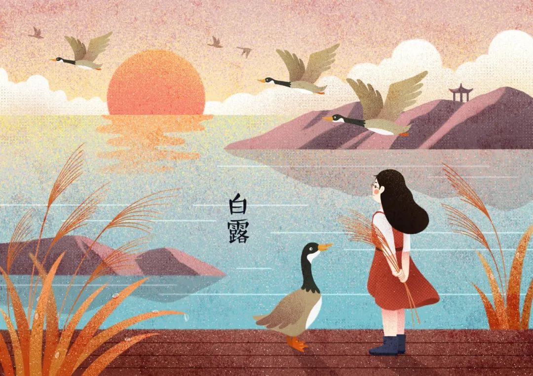 最美的5首白露诗词，清风白露，岁月无忧