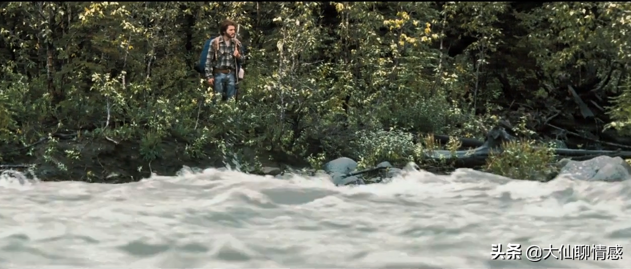 离奇失踪的22岁哈佛学生，死在了一辆废弃巴士里——《荒野求生》