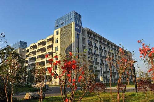 六安市最好的五所高中，除了毛坦厂传奇，你还知道哪些学校呢？