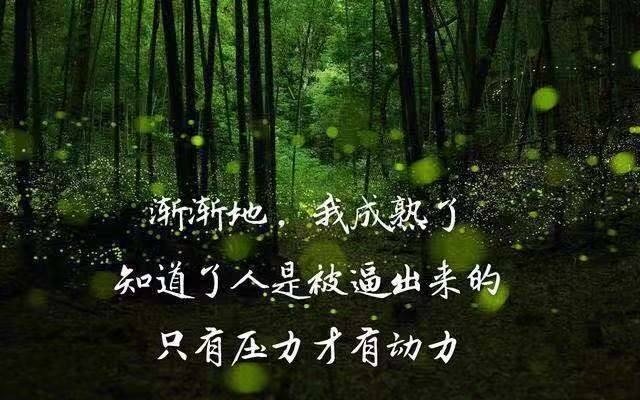 有些感情是指甲,剪掉了还会重生,无关痛痒