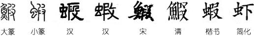 如何鉴别对虾、罗氏虾、北极甜虾……一文解决“虾”认识