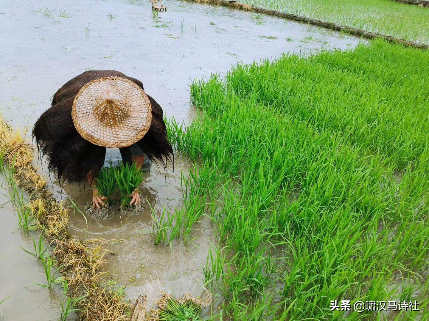兴来穷尽清溪水，云自悠悠人自闲——啸汉马诗社雅集第三十八辑