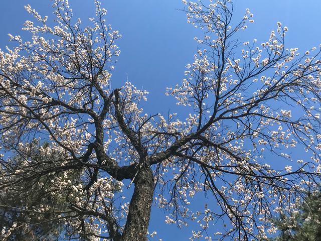 内蒙古的“土豪”大学，是一所省部共建高校，校园风景四季美如画