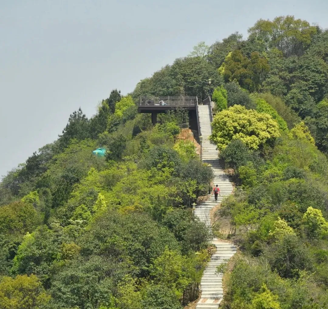 萧山:才不是无聊的有钱人聚集区,这里吃得好,玩得开心