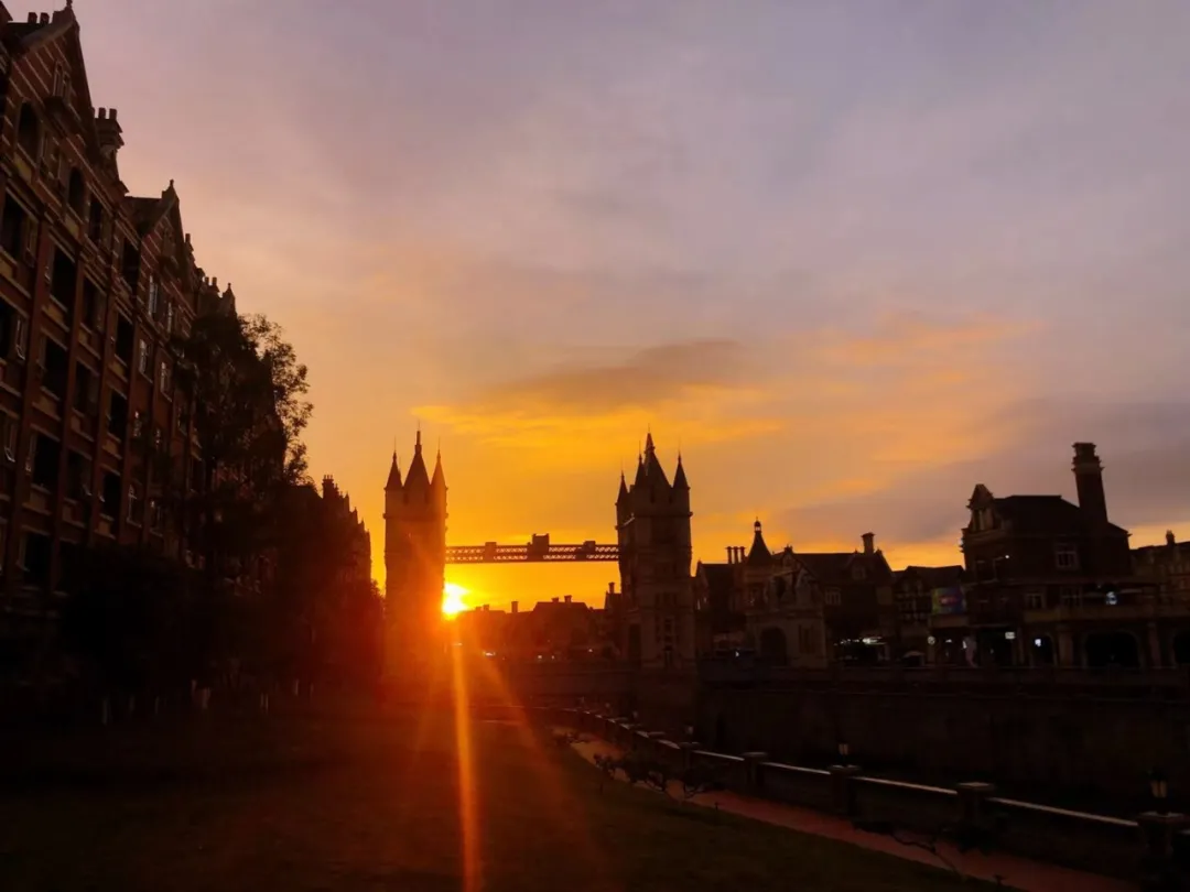 专升本比例高达80%，四川最美大学等你来