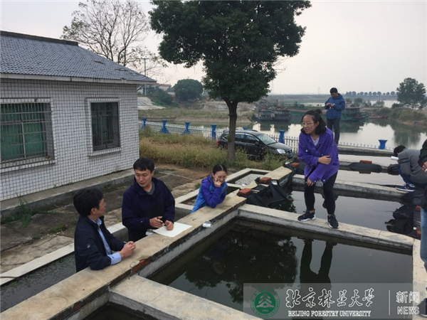 中央部门采纳！北京林业大学新增一座国家级科技创新基地！