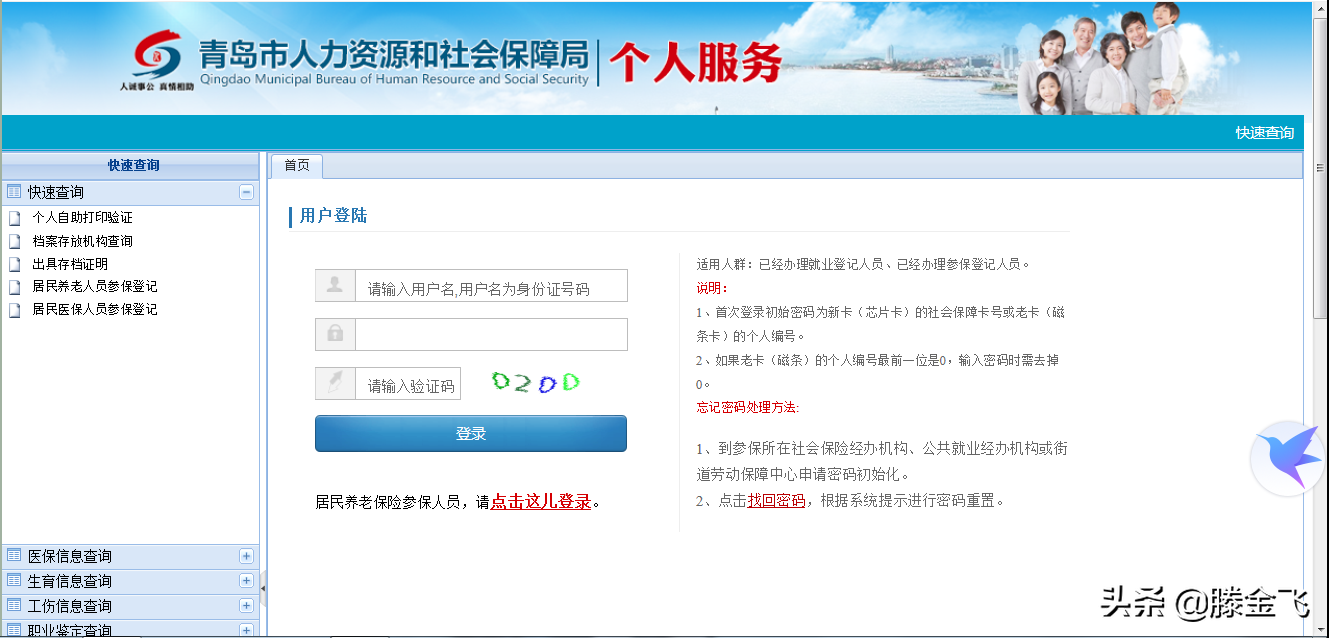 青岛社保网上查询,青岛社保网上查询系统