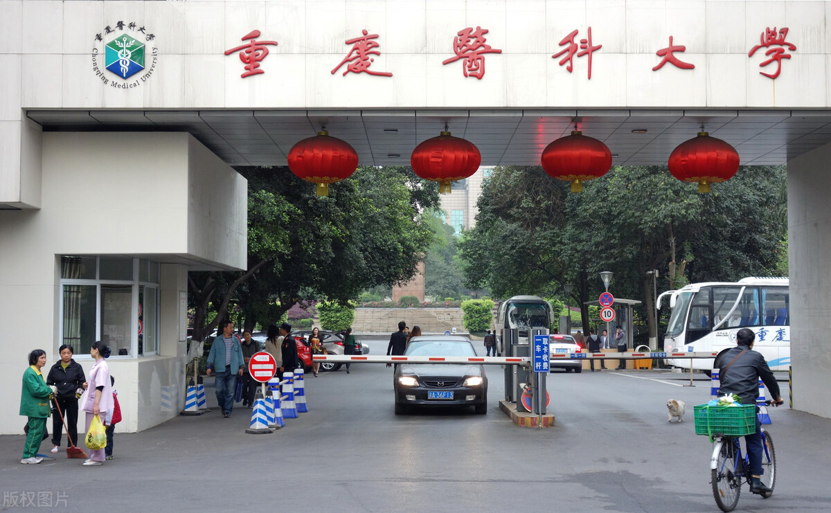 2021重庆医科大学录取：物理类平均598分，最高669，最大分差124