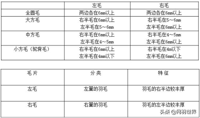 羽毛球什么规格的重（你喜欢羽毛球运动，但你知道羽毛球吗（三））
