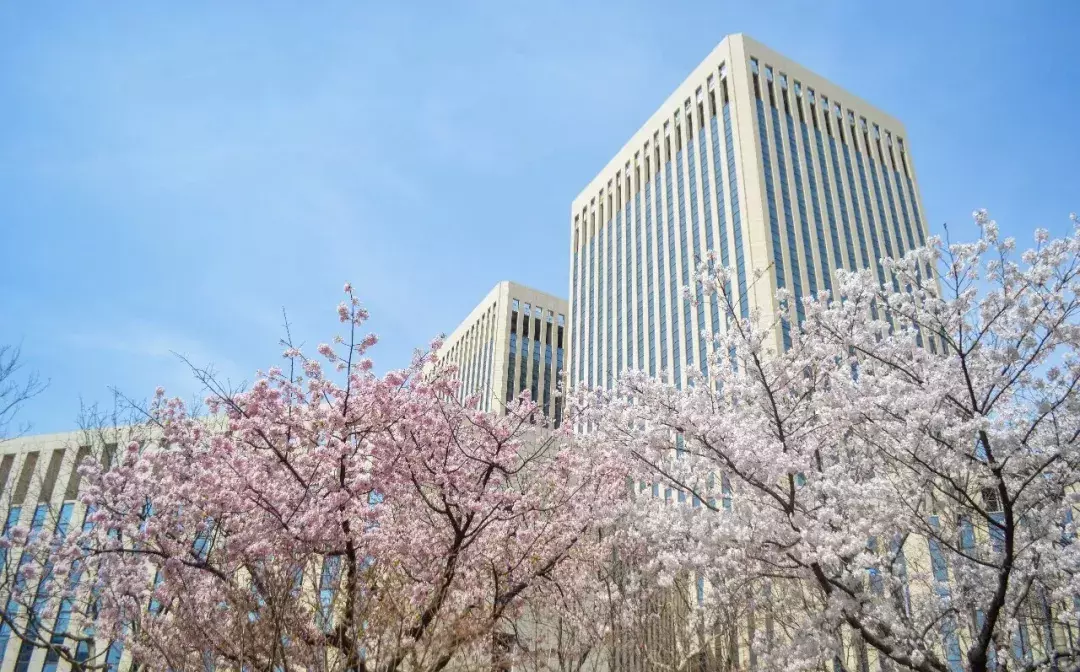 开学了，去青岛最美大学去逛一逛吧，个个堪比5A级景区