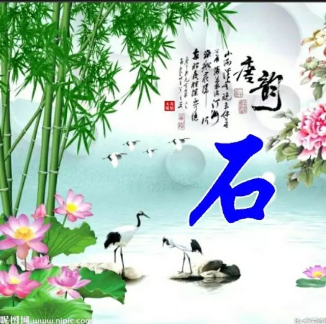 以竹报平安，家和富贵为题的姓氏微信头像（100张），太漂亮了