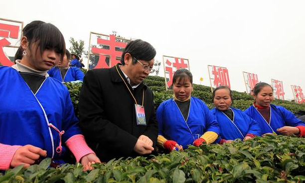 “回不去农村挤不进城市”，农村大学生的辛酸，真是现实且扎心