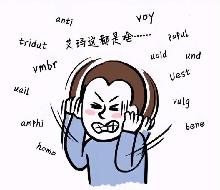 单词？拿来吧你